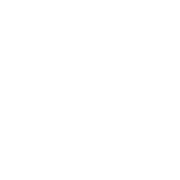theolive.cl favicon